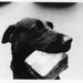 Profile Picture of garrett stack (@garrett9369) on Pinterest