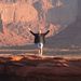 Profile Picture of Matthew Specter (@mattspecter) on Pinterest