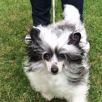 Profile Picture of Milena Stevanovic (@milena-stevanovic-2) on Quora