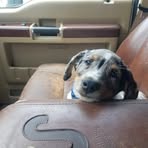 Profile Picture of Chad Finneman (@chad.finneman) on Facebook