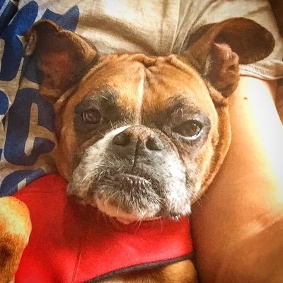 Profile Picture of Brad Gerry (@BradGerry13) on Twitter