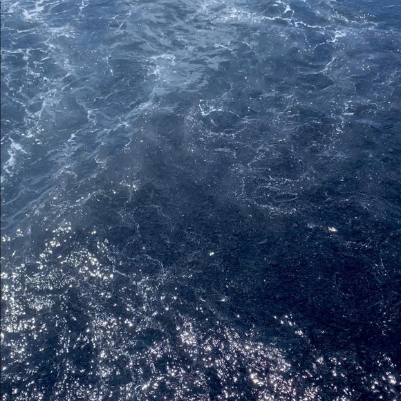 Profile Picture of Edina Kaszás (@kaszasdina) on Poshmark