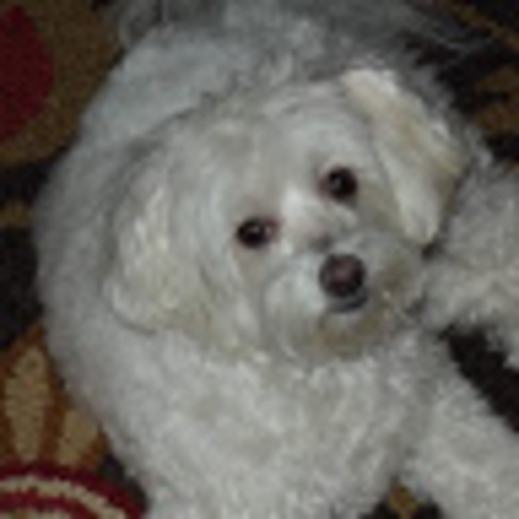 Profile Picture of Sdp (@stephpearson72) on Poshmark