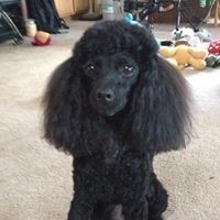 Profile Picture of Raymond Squires (@raymond-squires-1) on Quora