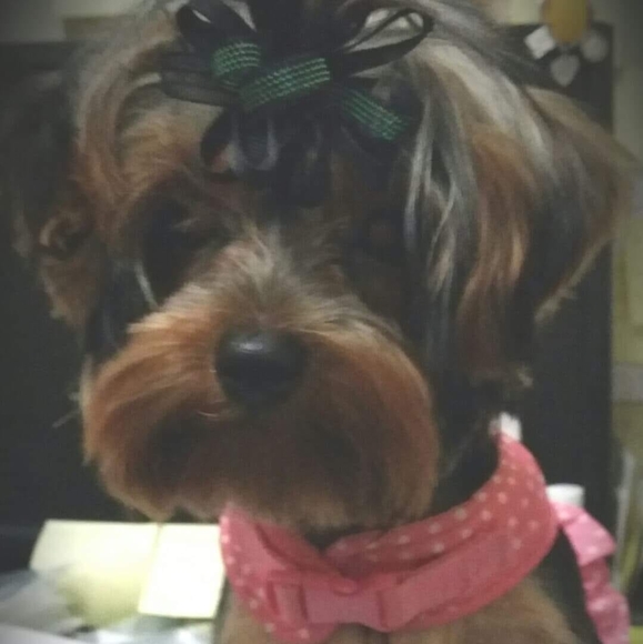 Profile Picture of Ressa R. fairley (@mrsindecentone) on Poshmark