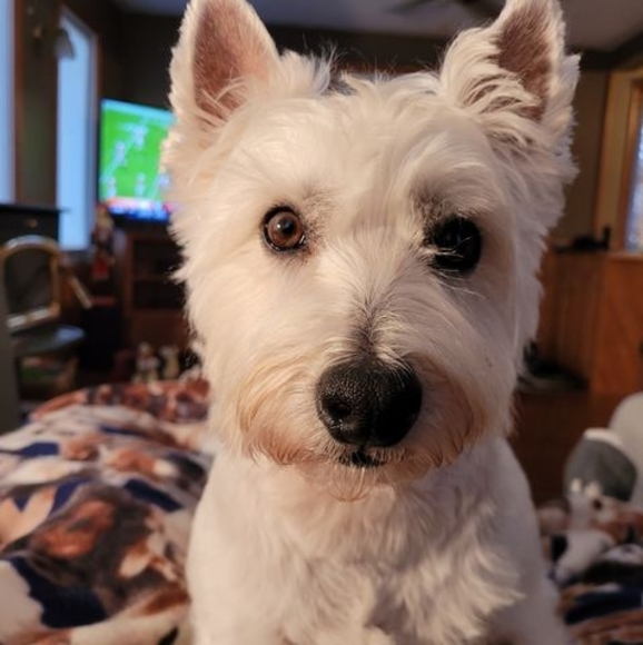 Profile Picture of Kim Manley (@krm92) on Poshmark