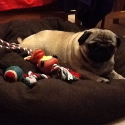 Profile Picture of Charmaine Gibbs (@chazza1707) on Twitter