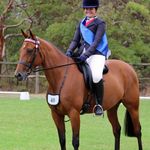 Profile Picture of Catherine Piper (@australian_equestrian) on Instagram