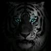 Profile Picture of Benjamin Muñoz (@@elbenja71) on Tiktok