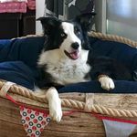 Profile Picture of Julia Husmann (@captain_eddy_kiel) on Instagram