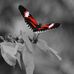 Profile Picture of Robin Gallant (@robin.gallant.5) on Facebook