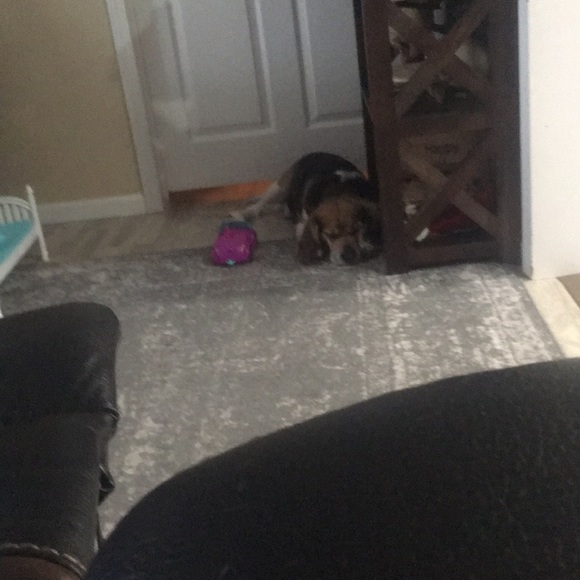 Profile Picture of Craig Christian (@craigc76) on Poshmark