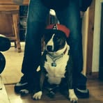 Krazya Celow - Facebook Profile Picture of Krazya Celow (@adrian.colabello.2025) on Facebook