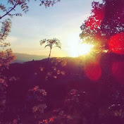 Profile Picture of Mahfoud Zinedine Oumerzouk (@mahfoudzinedineoumerzouk4411) on Youtube