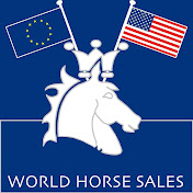 Profile Picture of Sean McCook (@worldhorsesales1) on Youtube