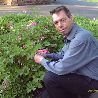 Profile Picture of Steve Allen (@Steve-Allen) on Facebook