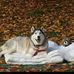 Profile Picture of John Haggart (@john.haggart.56) on Facebook