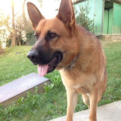 Profile Picture of Peter Burd (@peter_burd) on Twitter