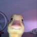Profile Picture of Anne Kyle (@anne.kyle.5855) on Facebook