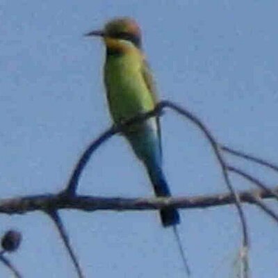 Profile Picture of Peter Duguid (@peterduguid) on Twitter