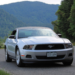 Profile Picture of elwood_106 (@elwood_106) on Flickr