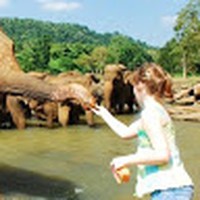 Adlah Durane - Quora Profile Picture of Adlah Durane (@adlah-durane) on Quora