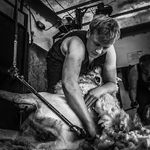 Profile Picture of Peg✨ (@peter_hogarth) on Instagram