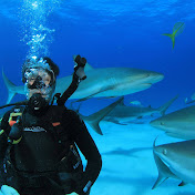 Profile Picture of Miguel Higareda (@mickeyhigareda) on Youtube