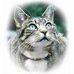 Profile Picture of Ade Patton (@ade.patton) on Facebook
