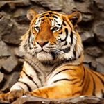 Profile Picture of David LeBlanc (@david.leblanc.5268) on Instagram