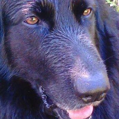 Profile Picture of Claudia Mattielli (@claudiamatti1) on Twitter