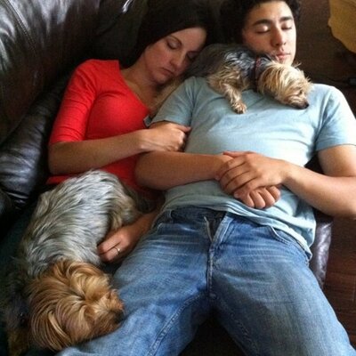 Profile Picture of Scott Takeda (@stakeda44) on Twitter