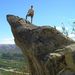 Profile Picture of Gregory Mackey (@gmackey1854) on Pinterest