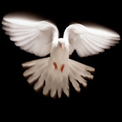 Profile Picture of Howard Cook (@howardcook9756) on Youtube