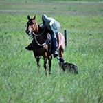 Profile Picture of Mike Ouellette (@mike.ouellette.581) on Instagram