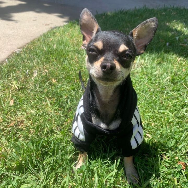 Profile Picture of dustin (@_.hypnotiic) on Tiktok