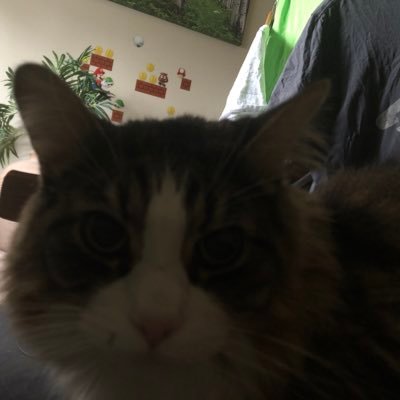 Profile Picture of Brett (@EugeneTheHuman) on Twitter