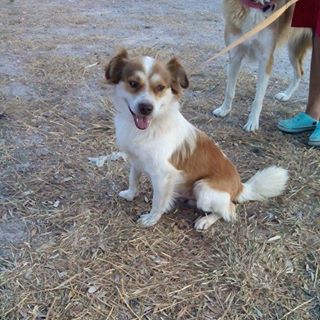 Stephen Ferguson - Facebook Profile Picture of Stephen Ferguson (@stephen.ferguson.9480) on Facebook