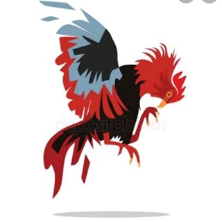 Profile Picture of Fabian Menco (@fabian.menco.52) on Facebook