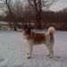 Profile Picture of Lori Marker (@lmaiko) on Pinterest