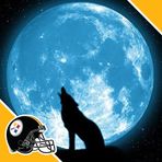 Profile Picture of Jeffrey Macioce (@Jeffrey-Macioce) on Facebook