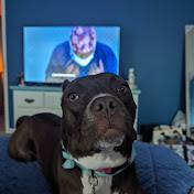 Profile Picture of Joshua Badgley (@joshuabadgley2697) on Youtube