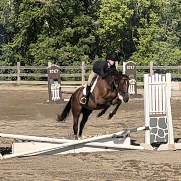 Profile Picture of Faye Warner (@pancakessyrup) on Poshmark