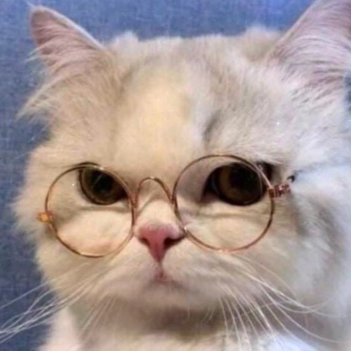 Profile Picture of Kurodaki (@anandgantulga0) on Tiktok