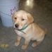 Profile Picture of Wade Ackerman (@wade.ackerman.56) on Facebook