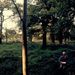 Profile Picture of Daniel Sonnentag (@dsonnentag) on Pinterest
