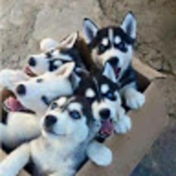 Profile Picture of Superherofan03 Superherofan03 (@superherofan03s) on Poshmark