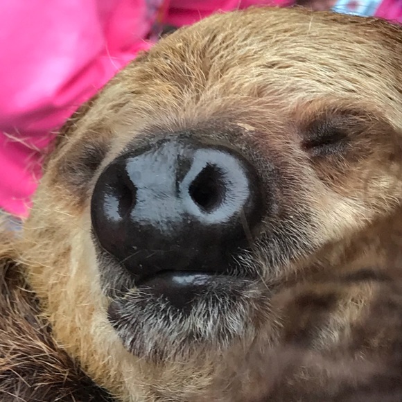 Profile Picture of Jessica Kurgan (@jesscheer1833) on Poshmark