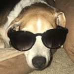 Profile Picture of odie daniel rodela (@odiesinsta) on Instagram