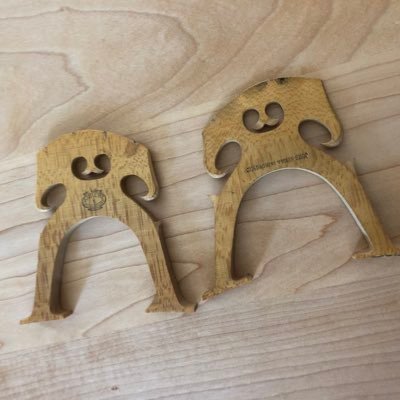 Mark Bridges - Twitter Profile Picture of Mark Bridges (@cellobridges) on Twitter